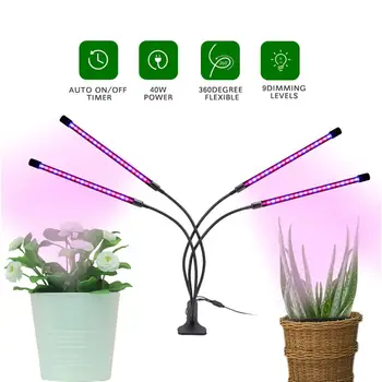 LED Cresce a Luz USB Fito Espectro Completo da Lâmpada Fitolampy Com Controle De Plantas Mudas de Flores Interior Fitolamp Tenda de Caixa